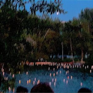 Meet your Posher, Ella